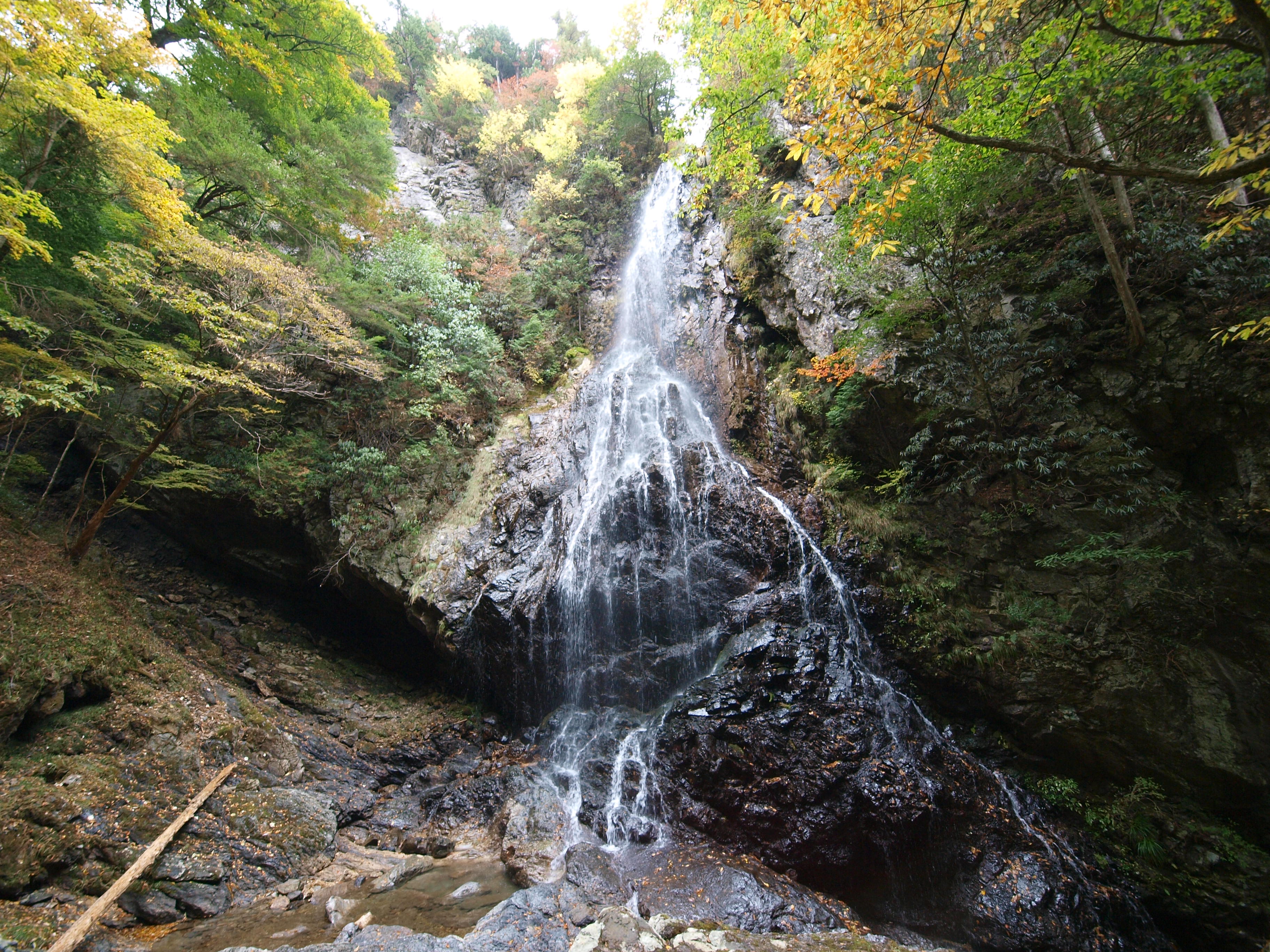 PA254825.JPG