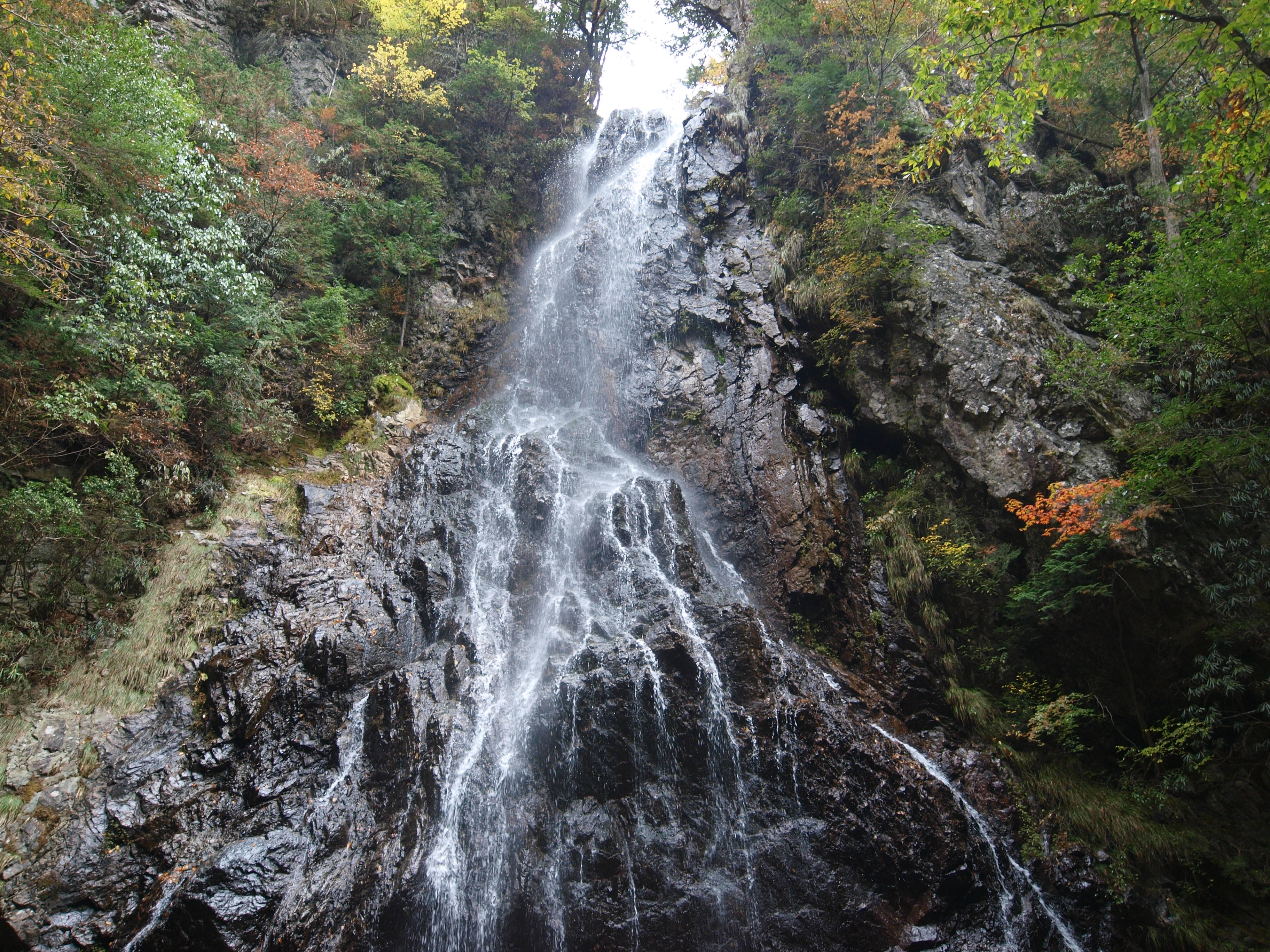 PA254829.JPG