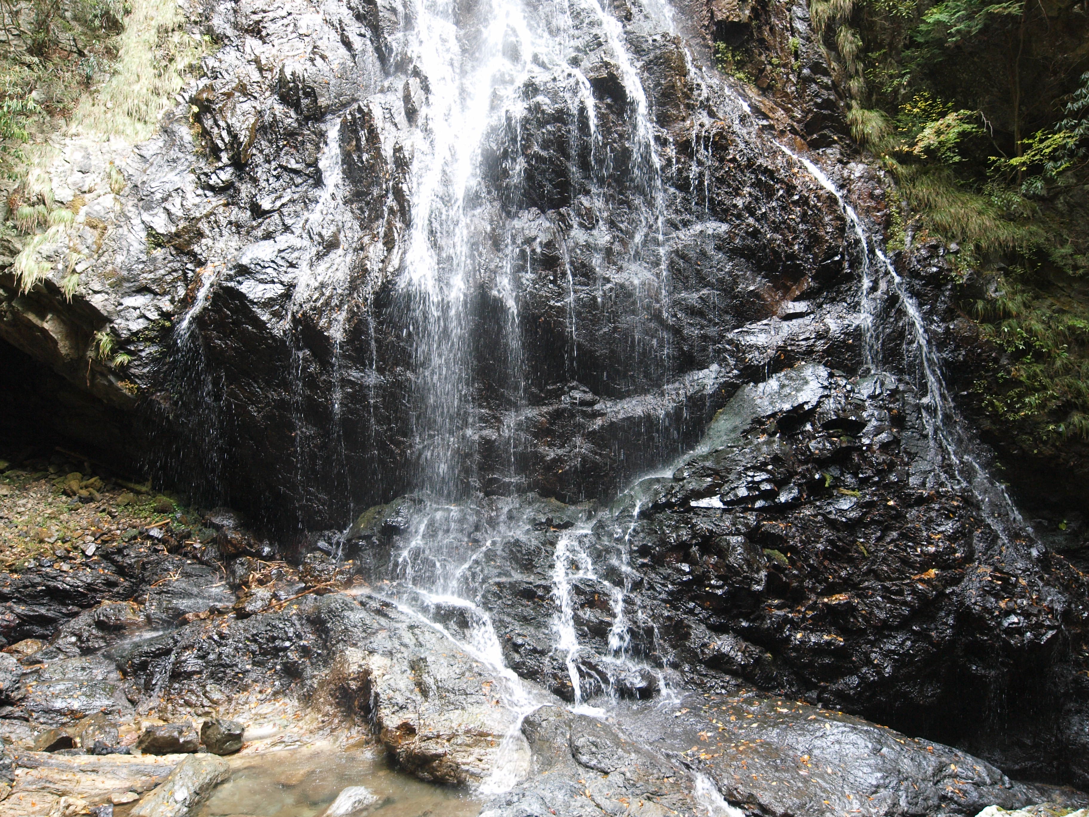 PA254830.JPG