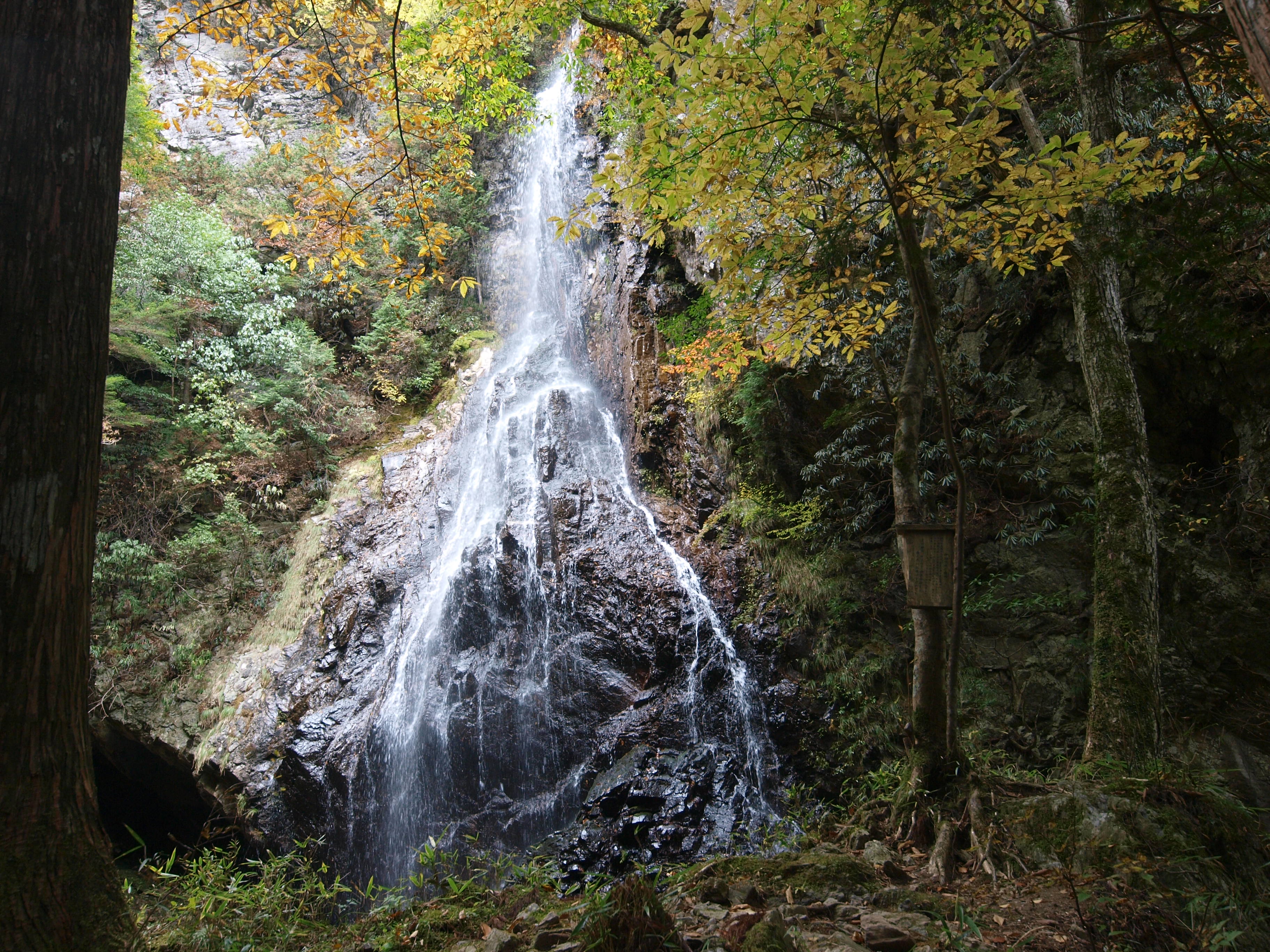 PA254834.JPG