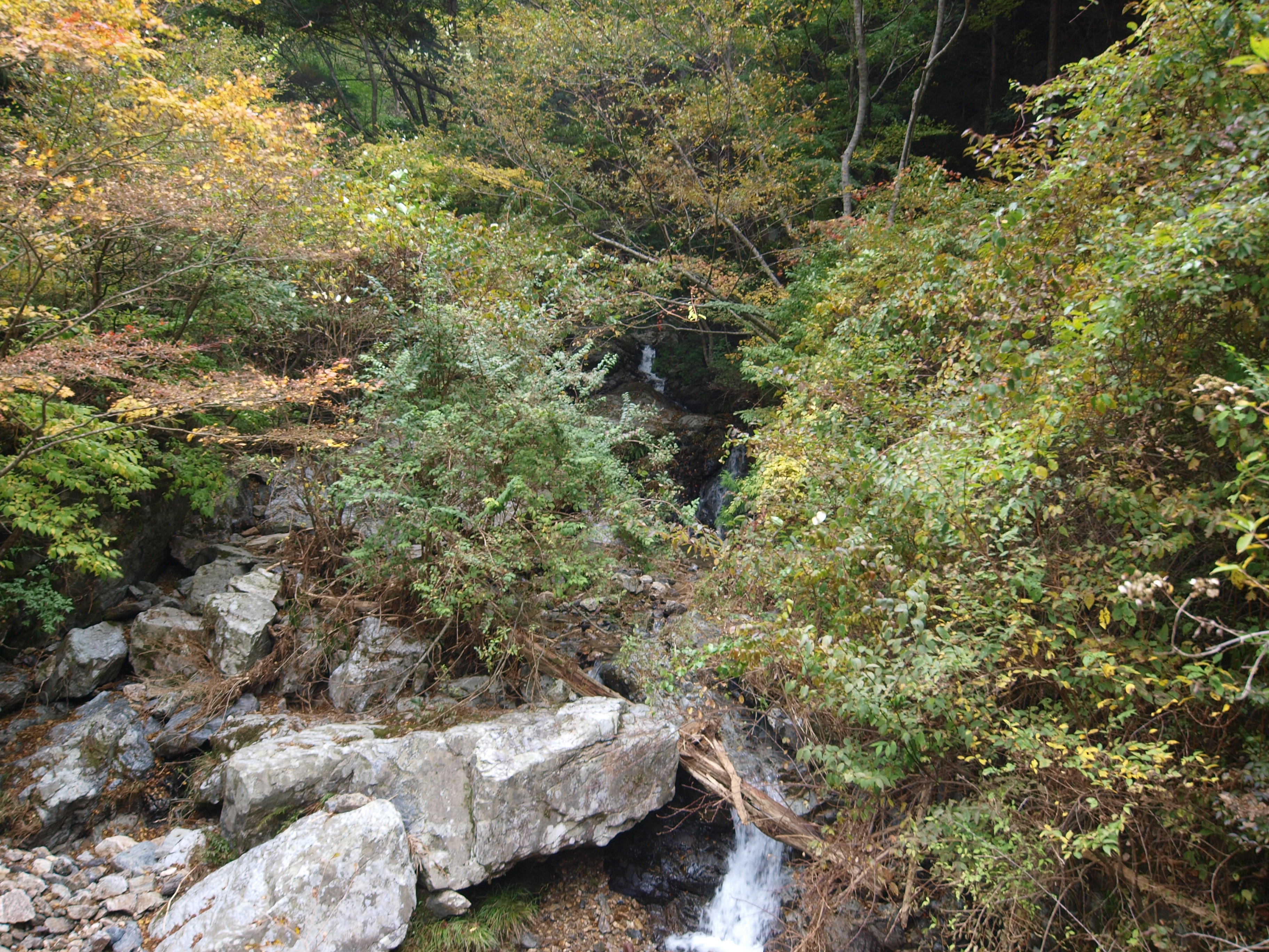 PA254835.JPG