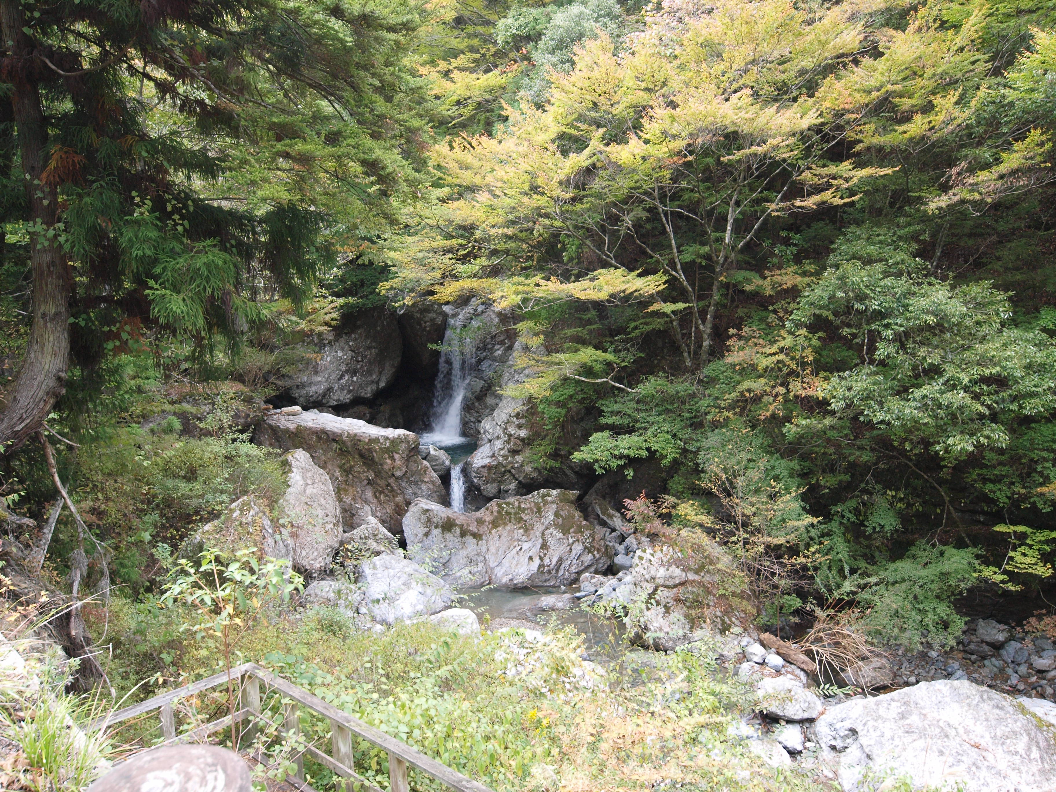 PA254836.JPG