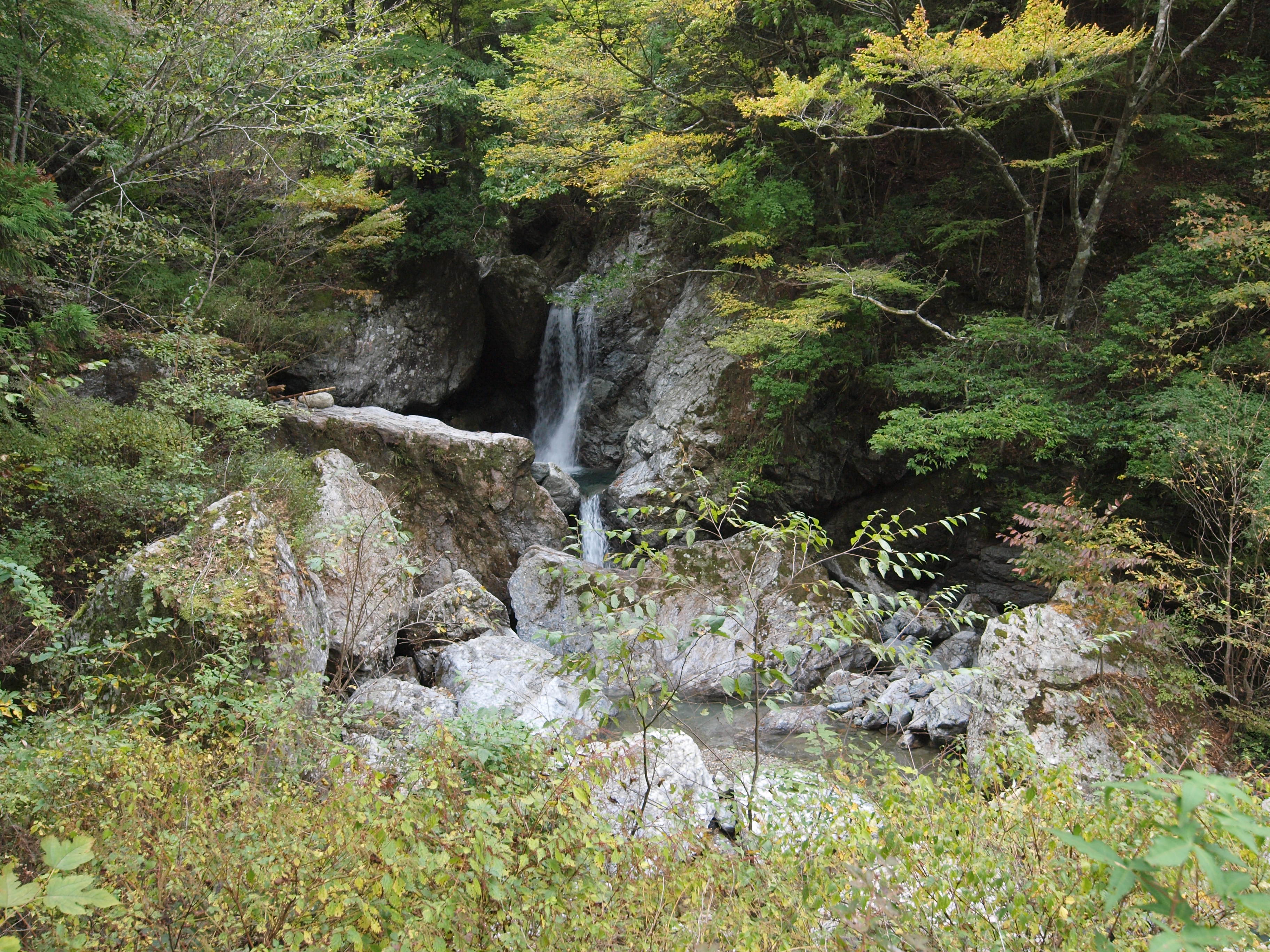 PA254837.JPG