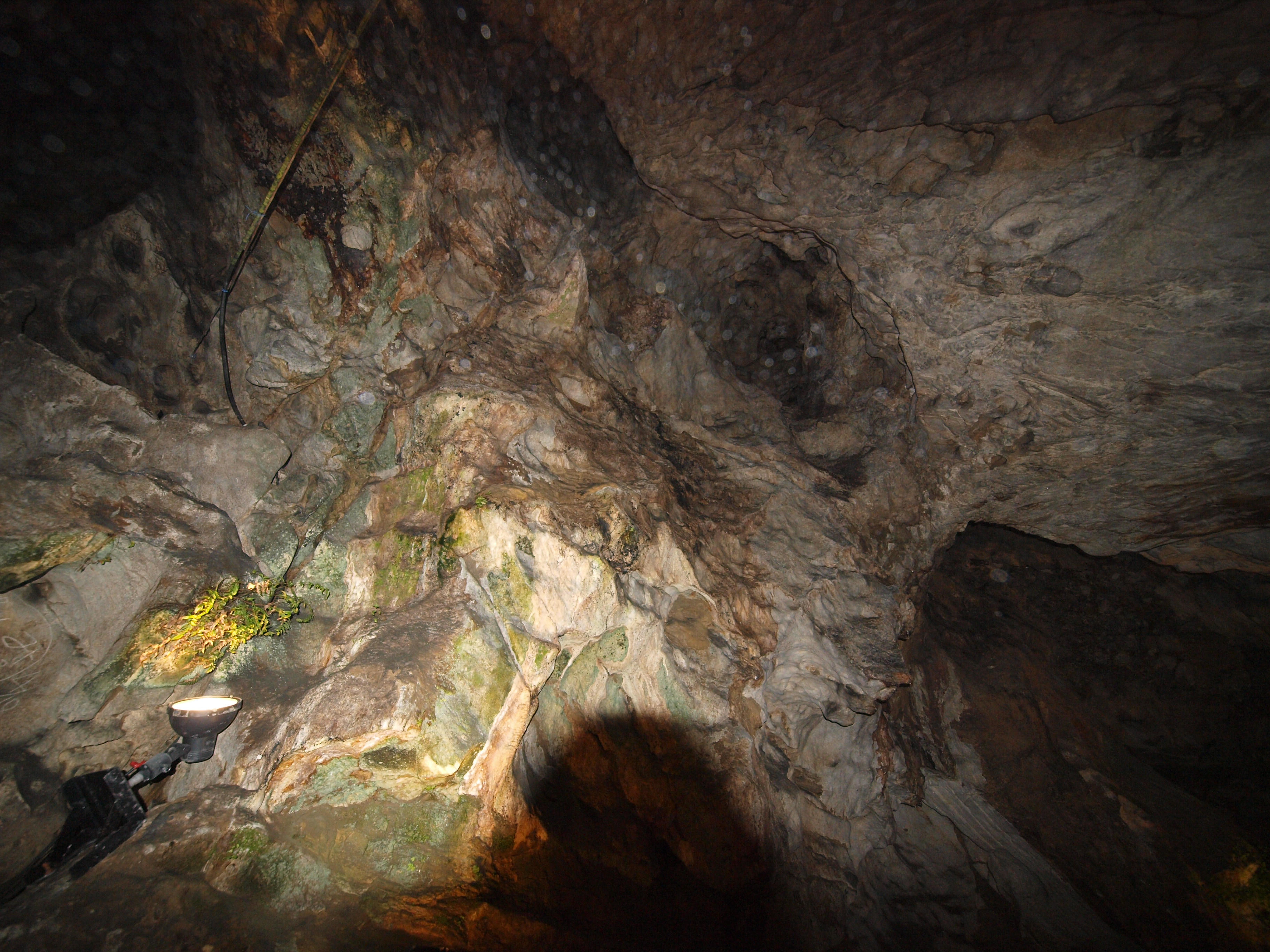 PA254843.JPG