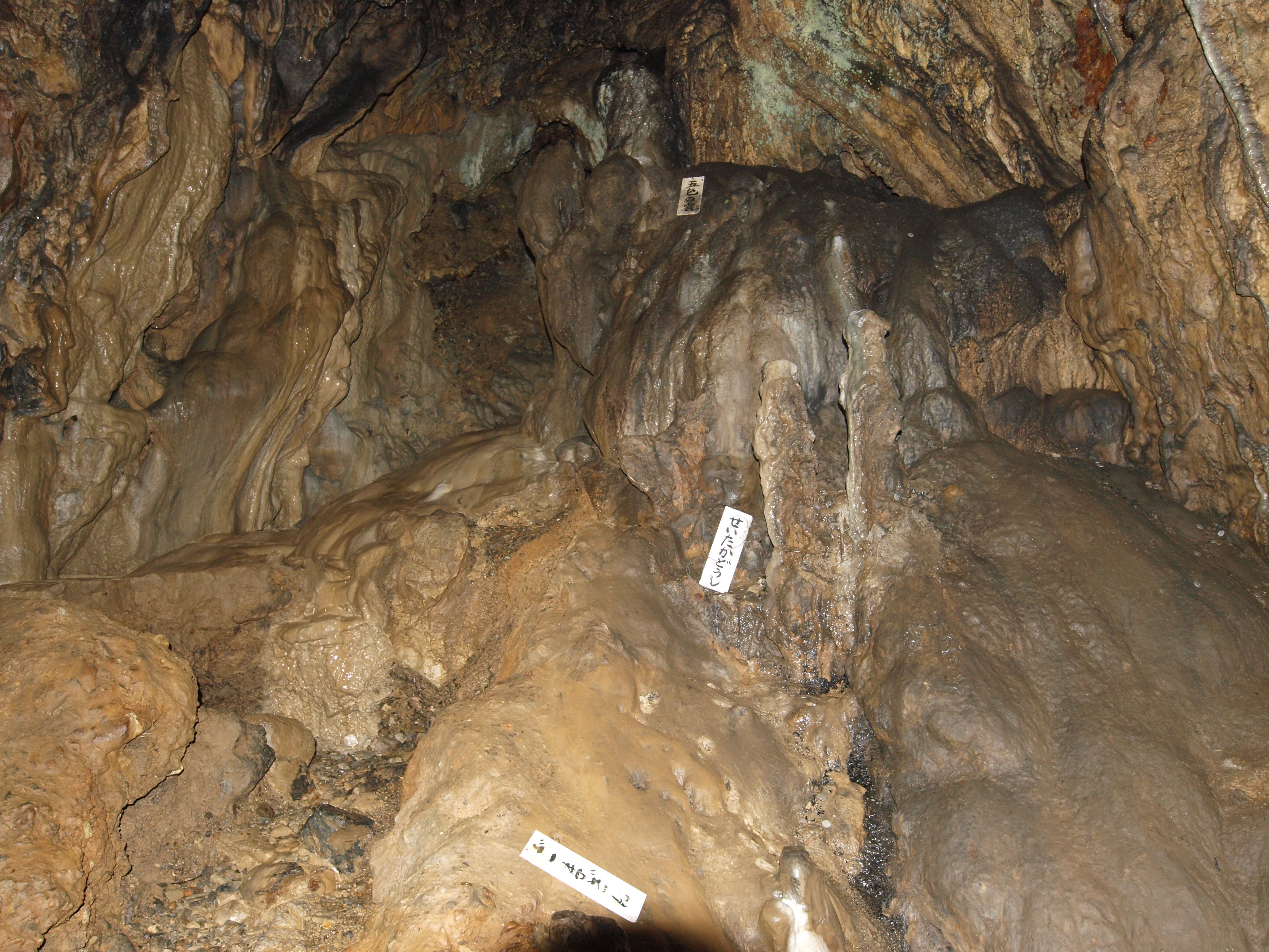 PA254846.JPG