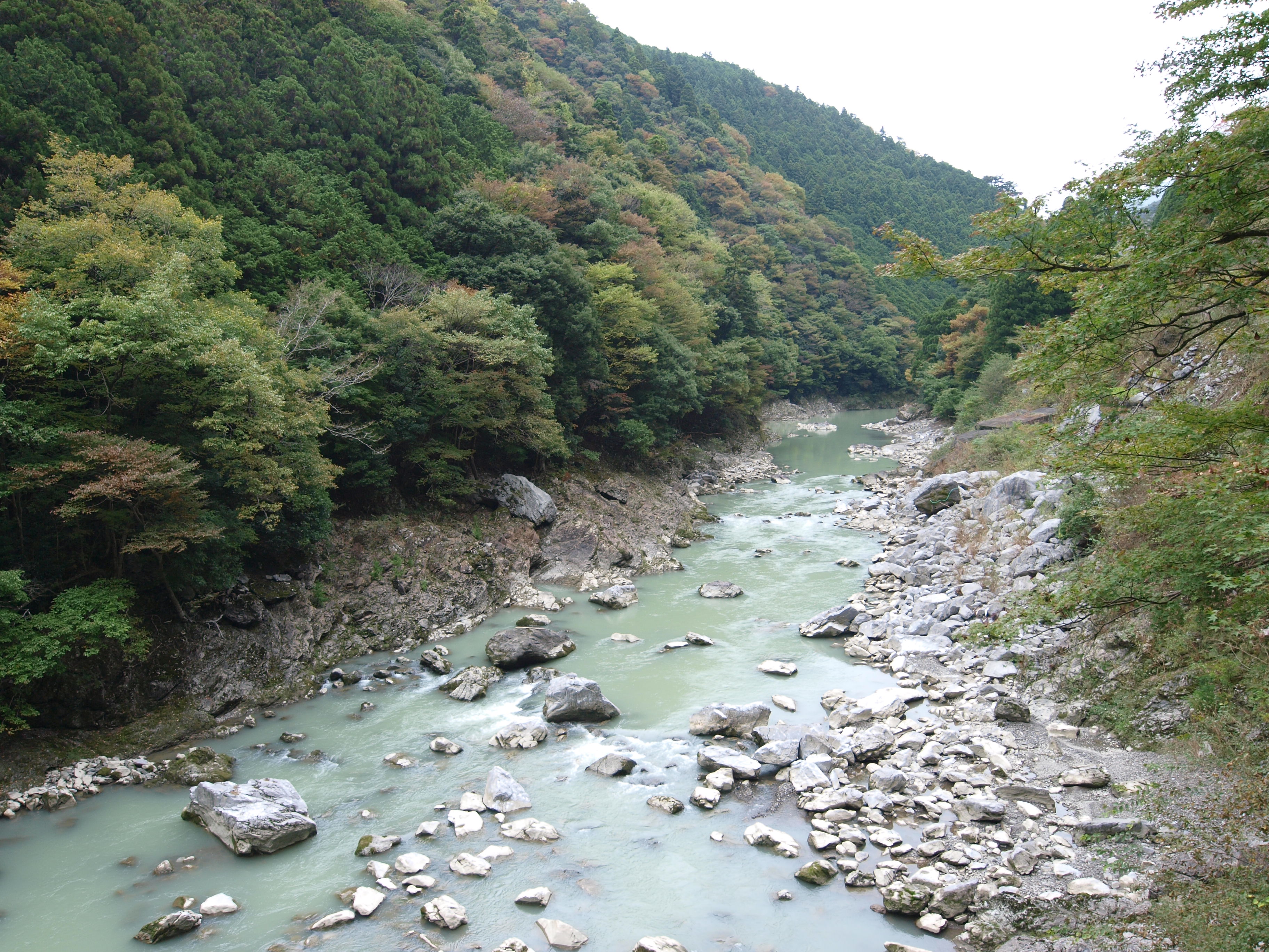 PA254848.JPG