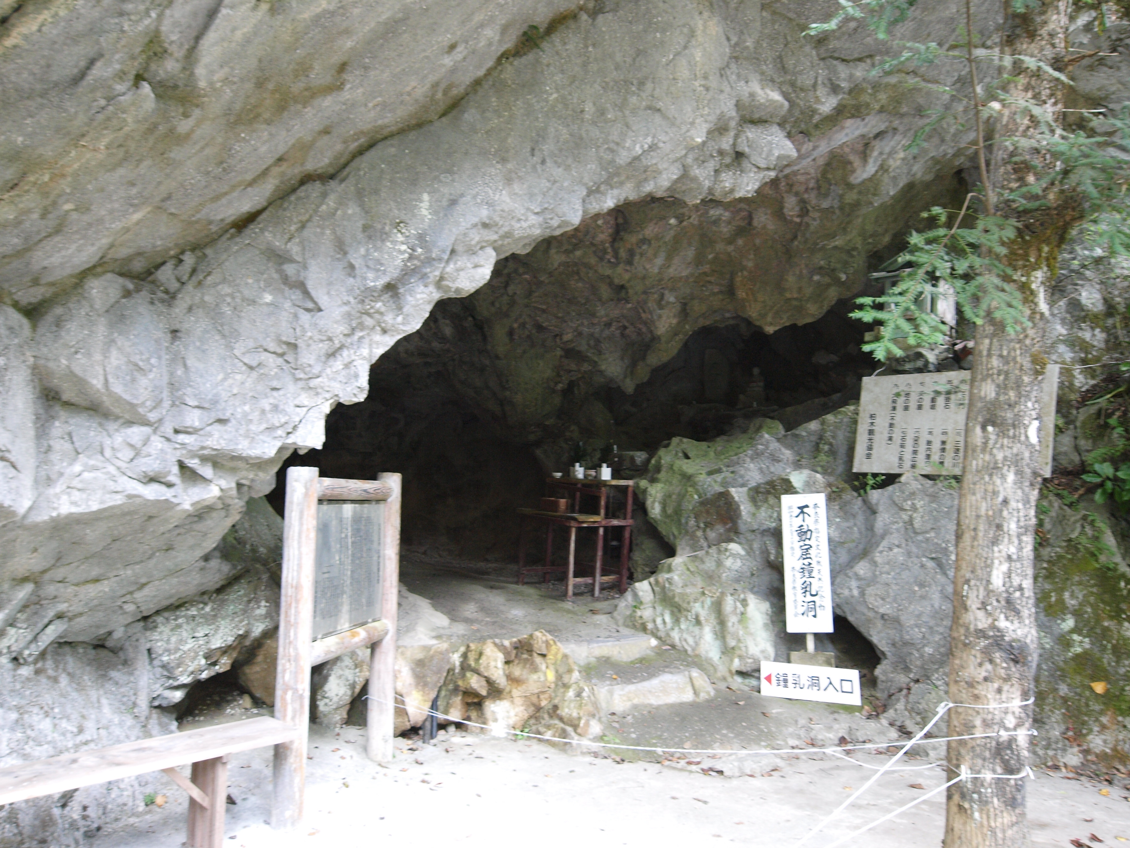 PA254849.JPG
