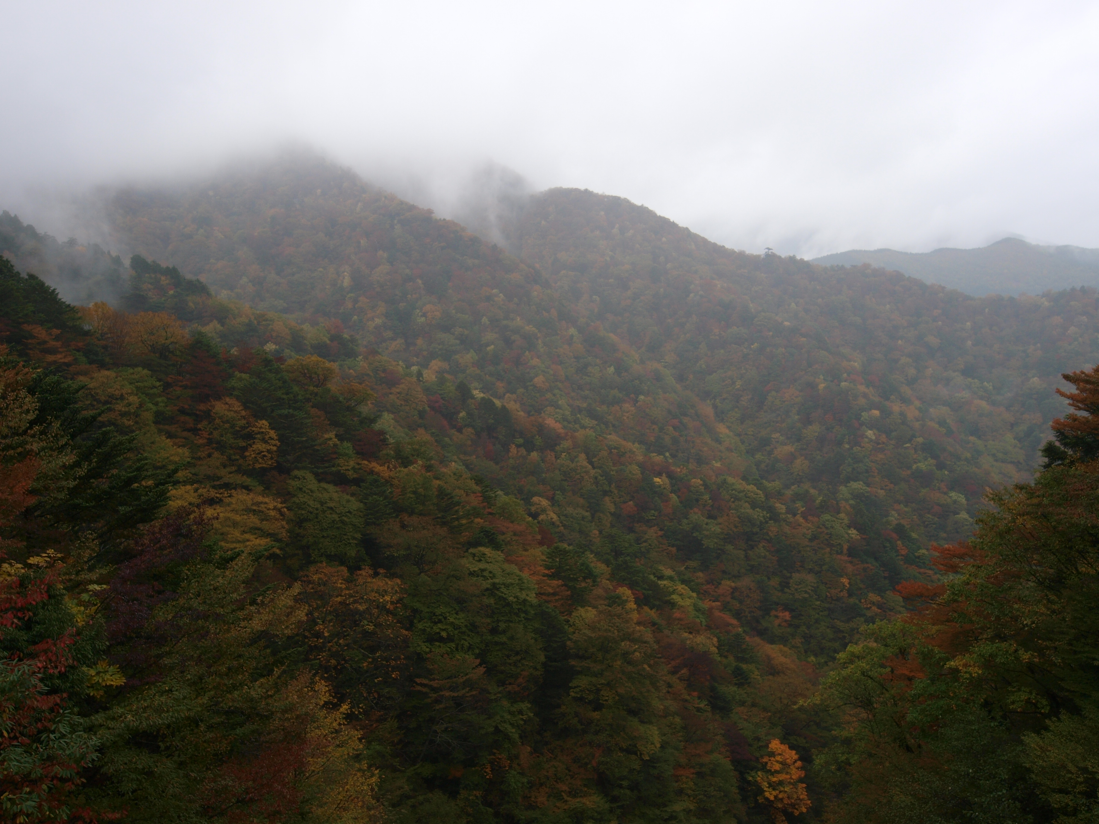 PA254852.JPG