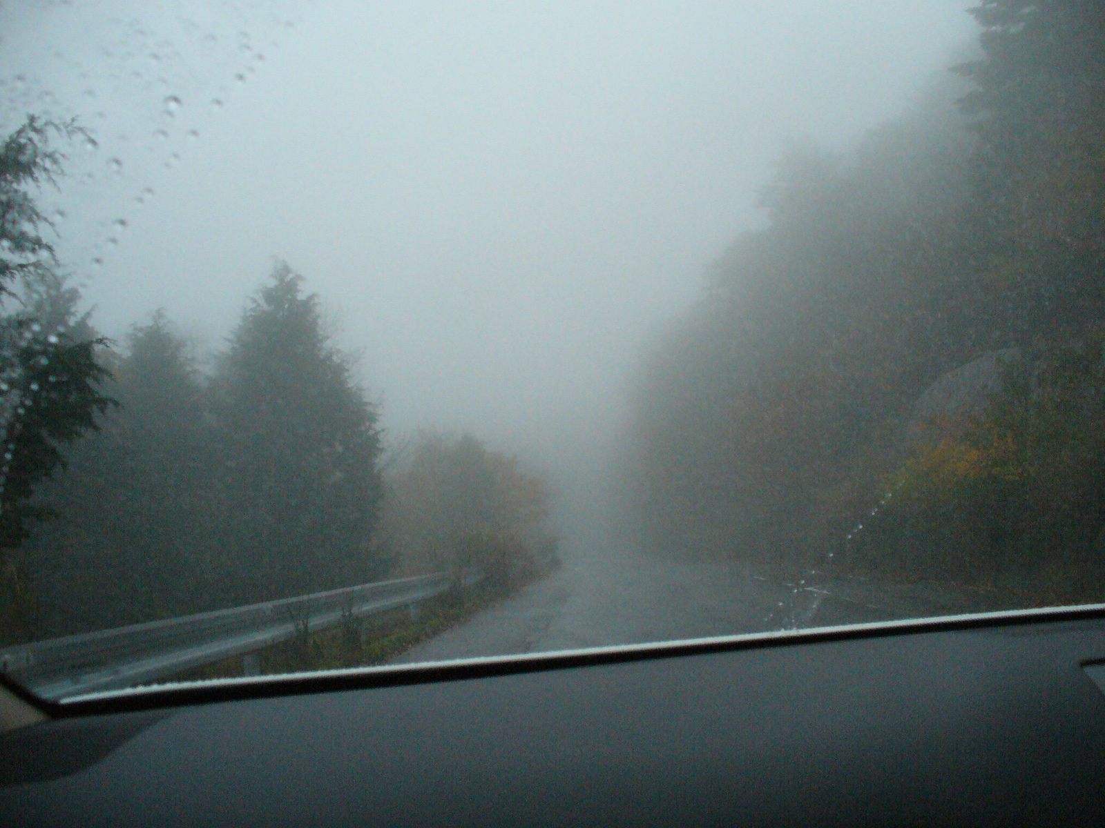 P1130195.JPG