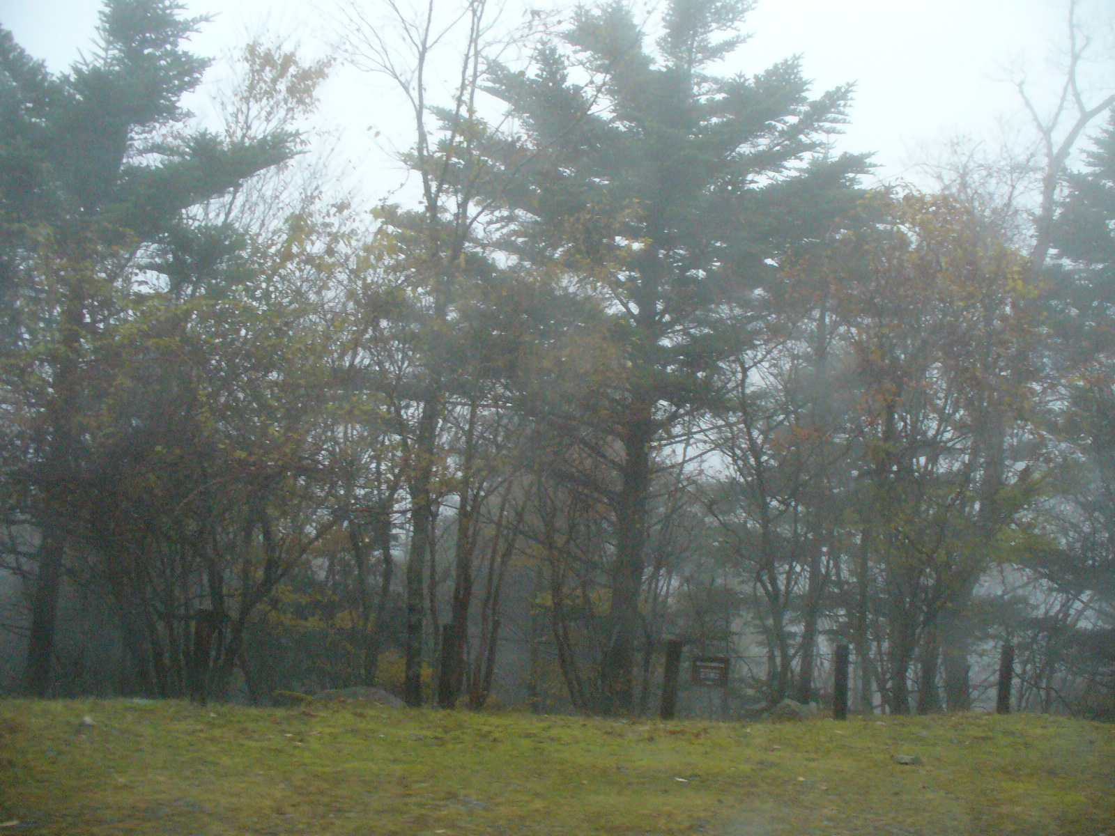 P1130200.JPG