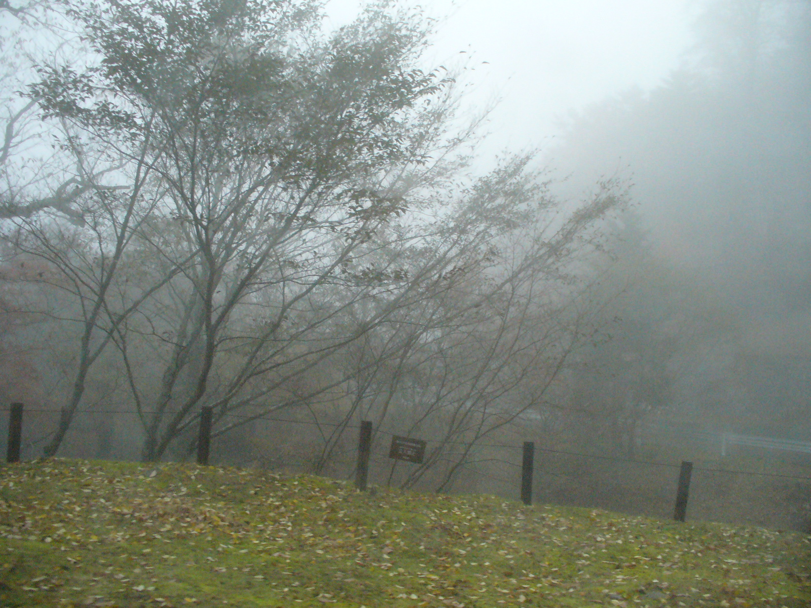 P1130201.JPG
