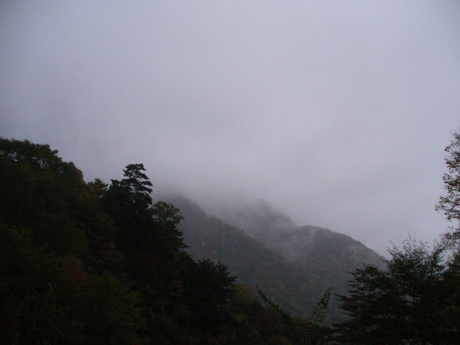 P1130202.JPG
