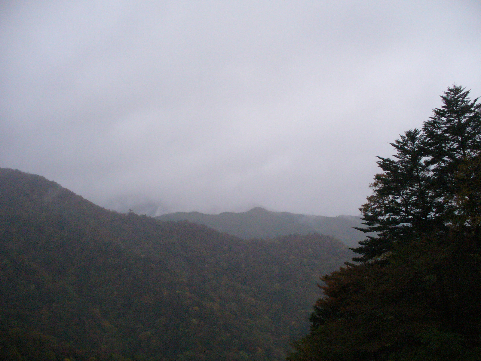 P1130203.JPG
