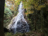 img0010.jpg