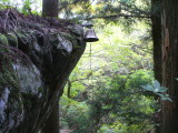 img0011.jpg