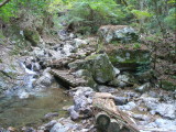 img0012.jpg