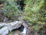img0014.jpg