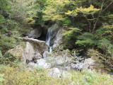 img0020.jpg