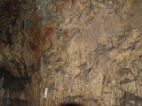 img0036.jpg