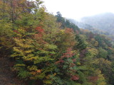 img0052.jpg