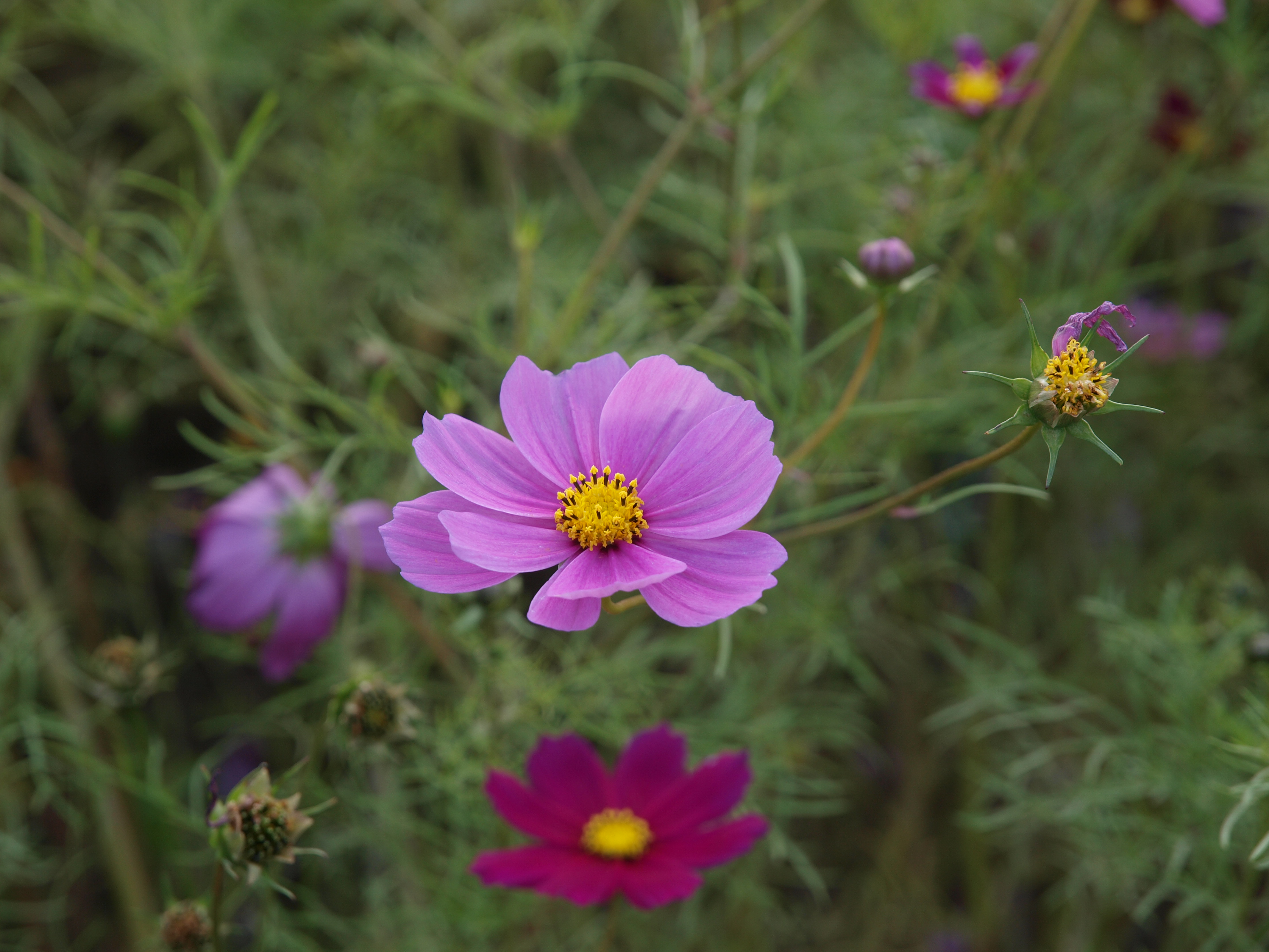 PB034863.JPG