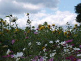 img0000.jpg