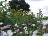 img0002.jpg