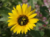 img0005.jpg