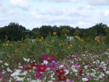 img0012.jpg