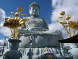 img0025.jpg