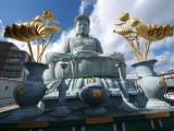 img0029.jpg