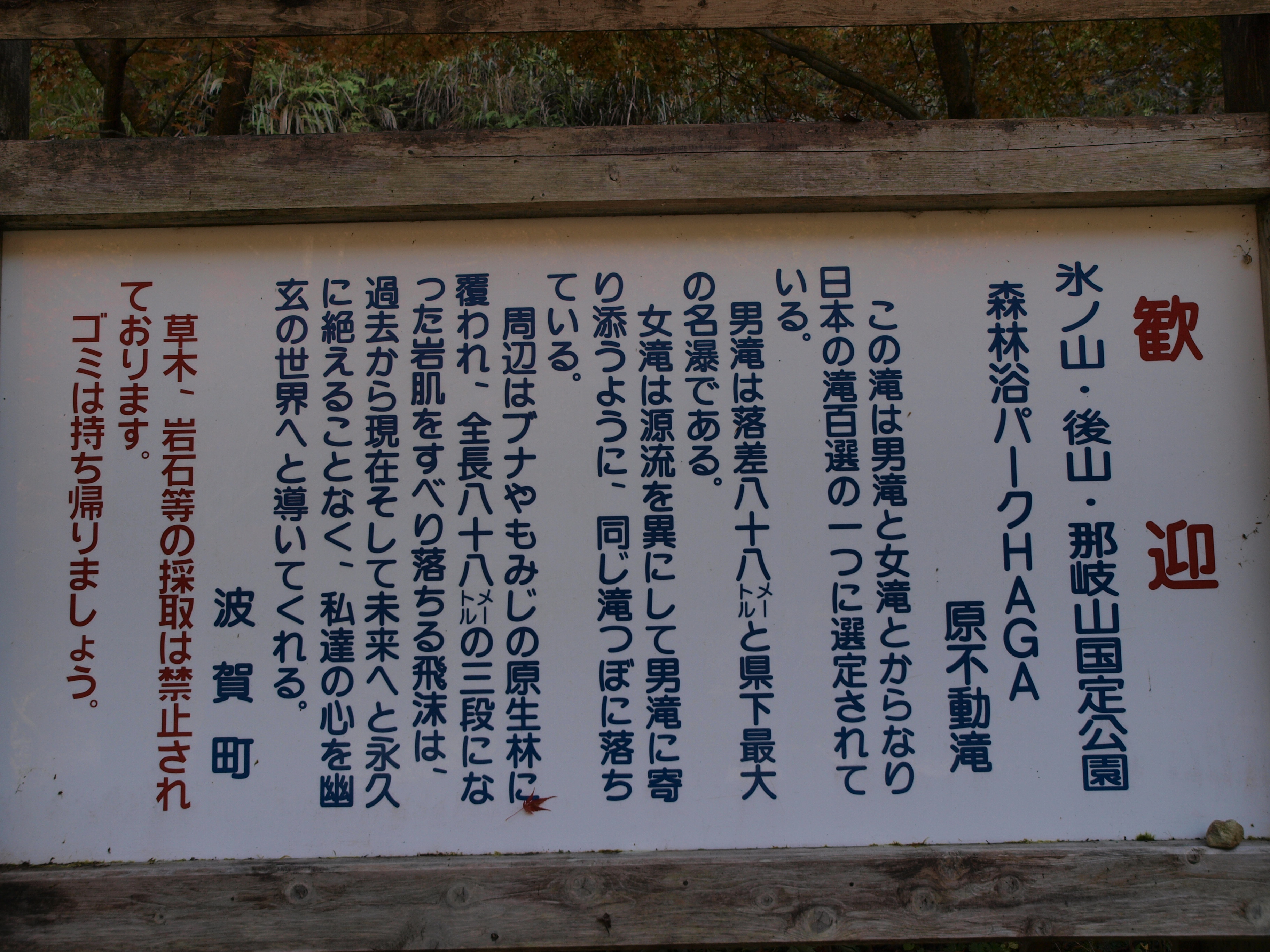 PB084890.JPG