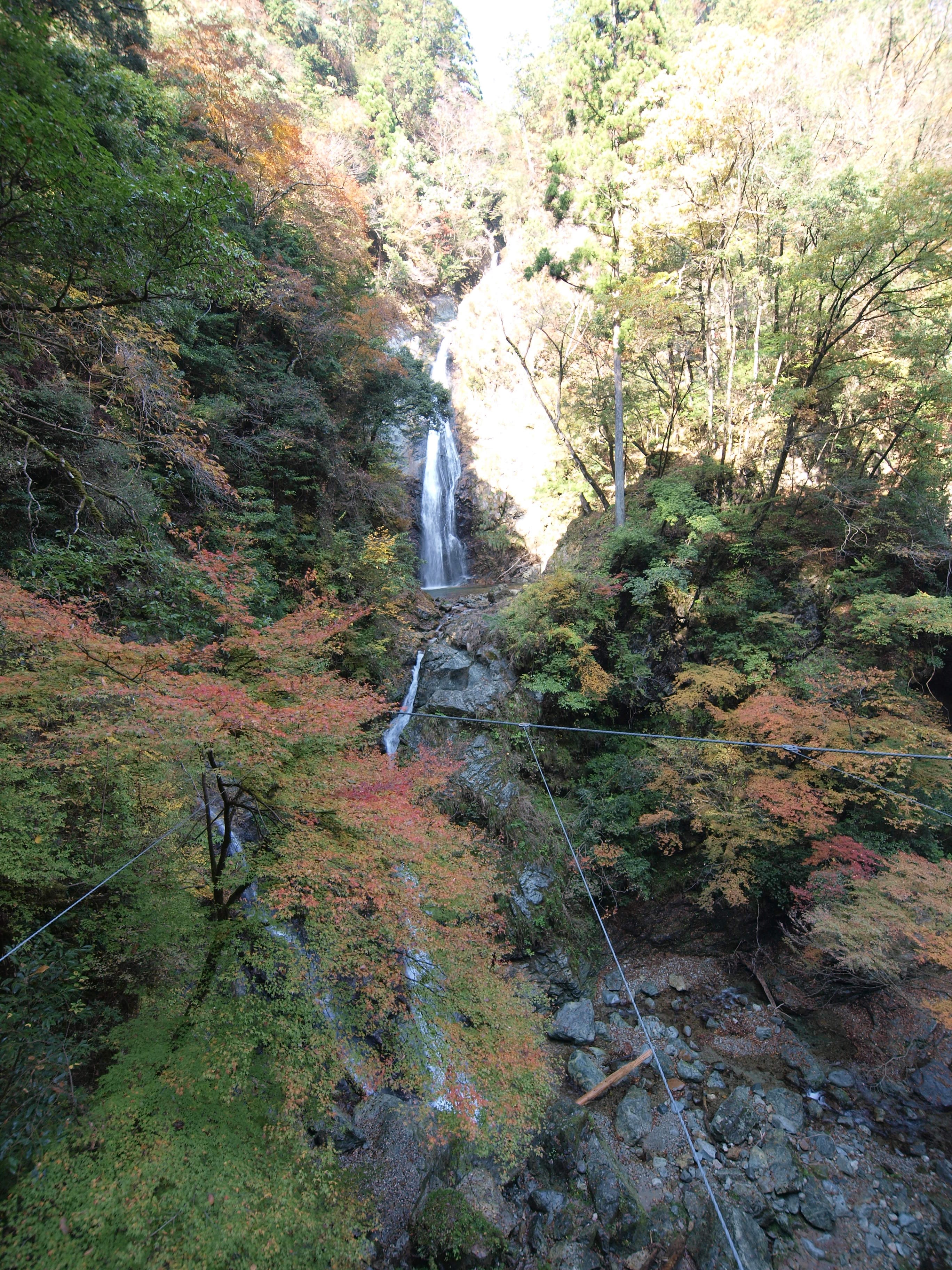 PB084900.JPG