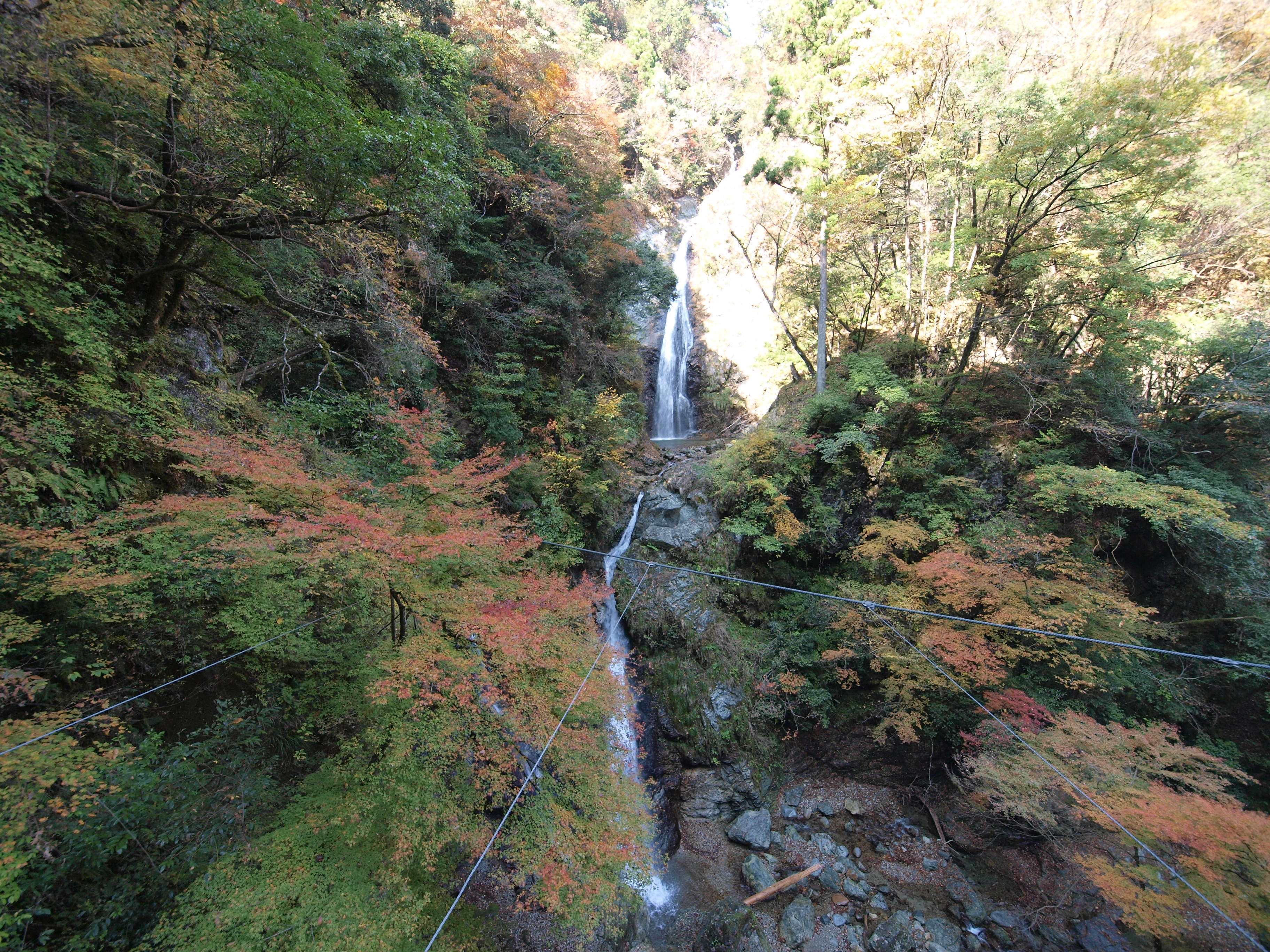 PB084901.JPG