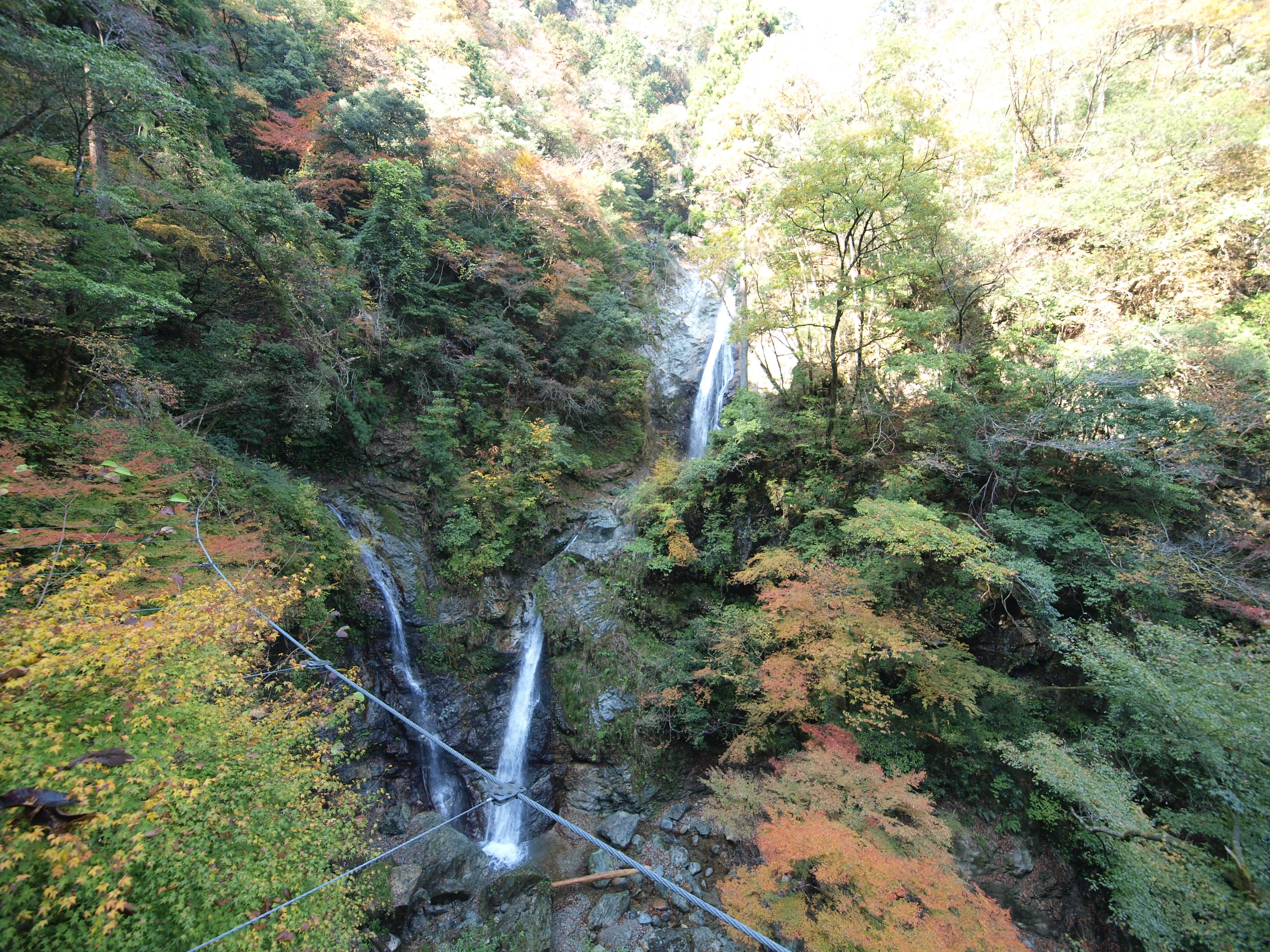 PB084902.JPG