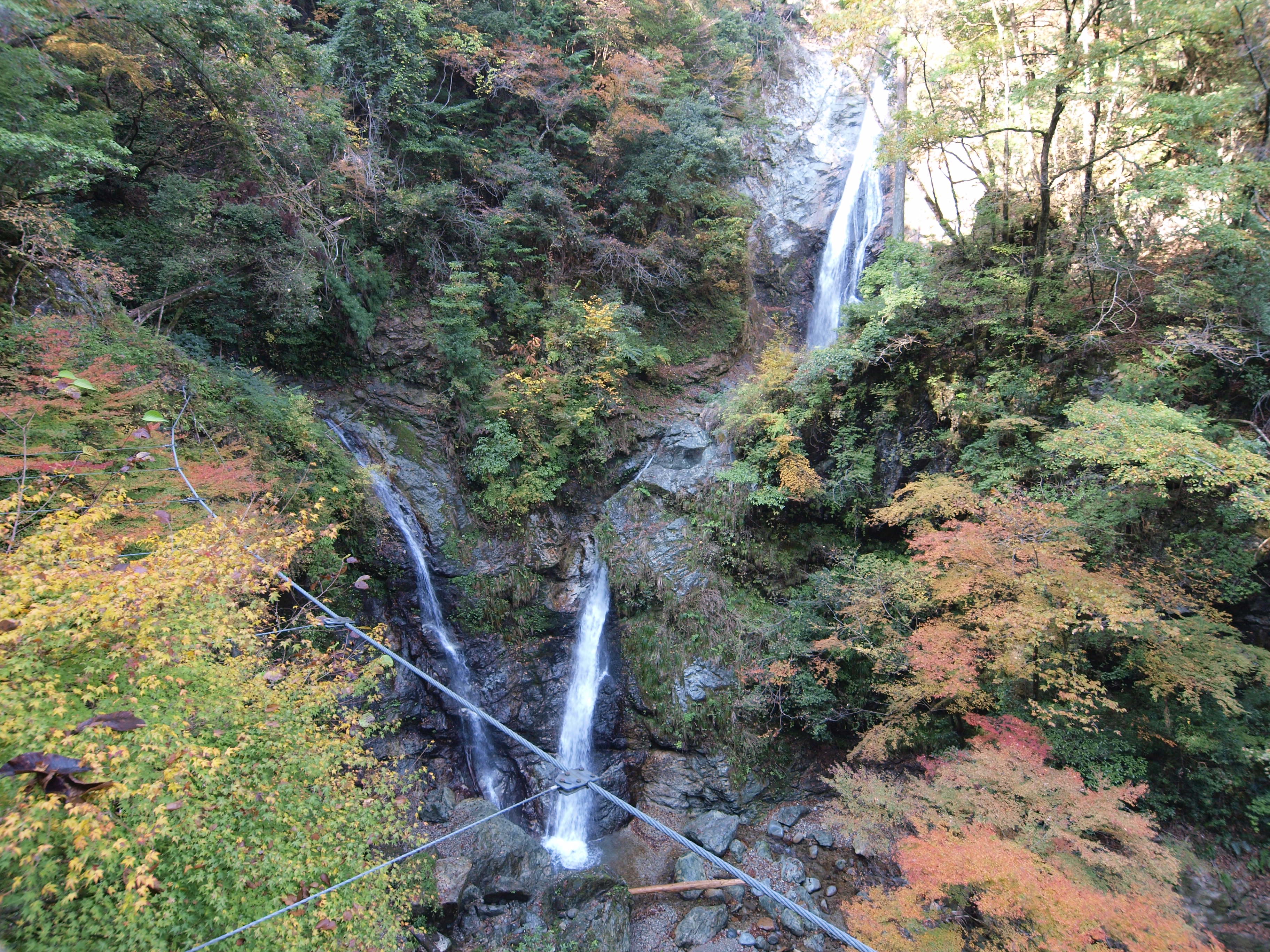 PB084903.JPG