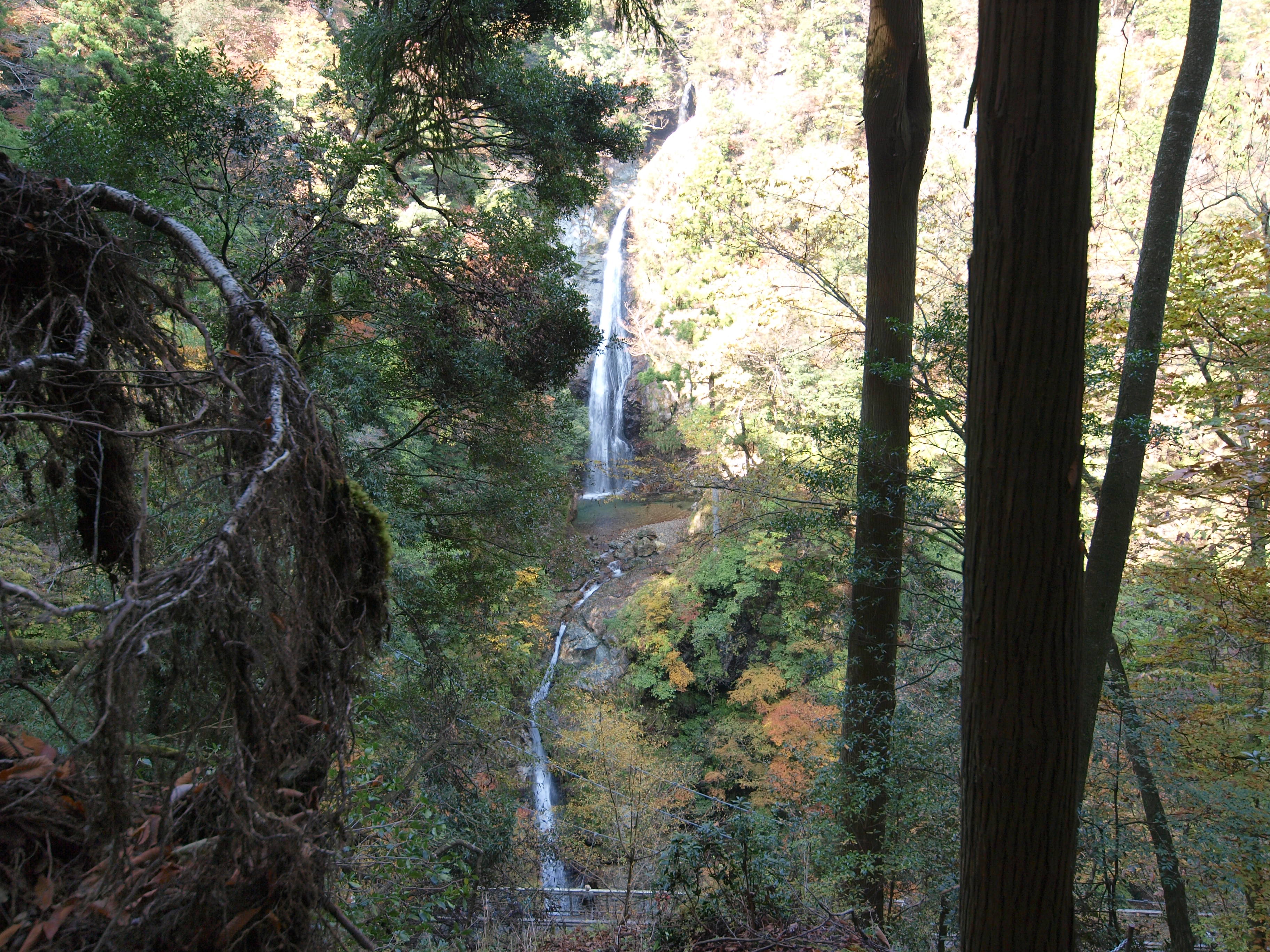 PB084904.JPG