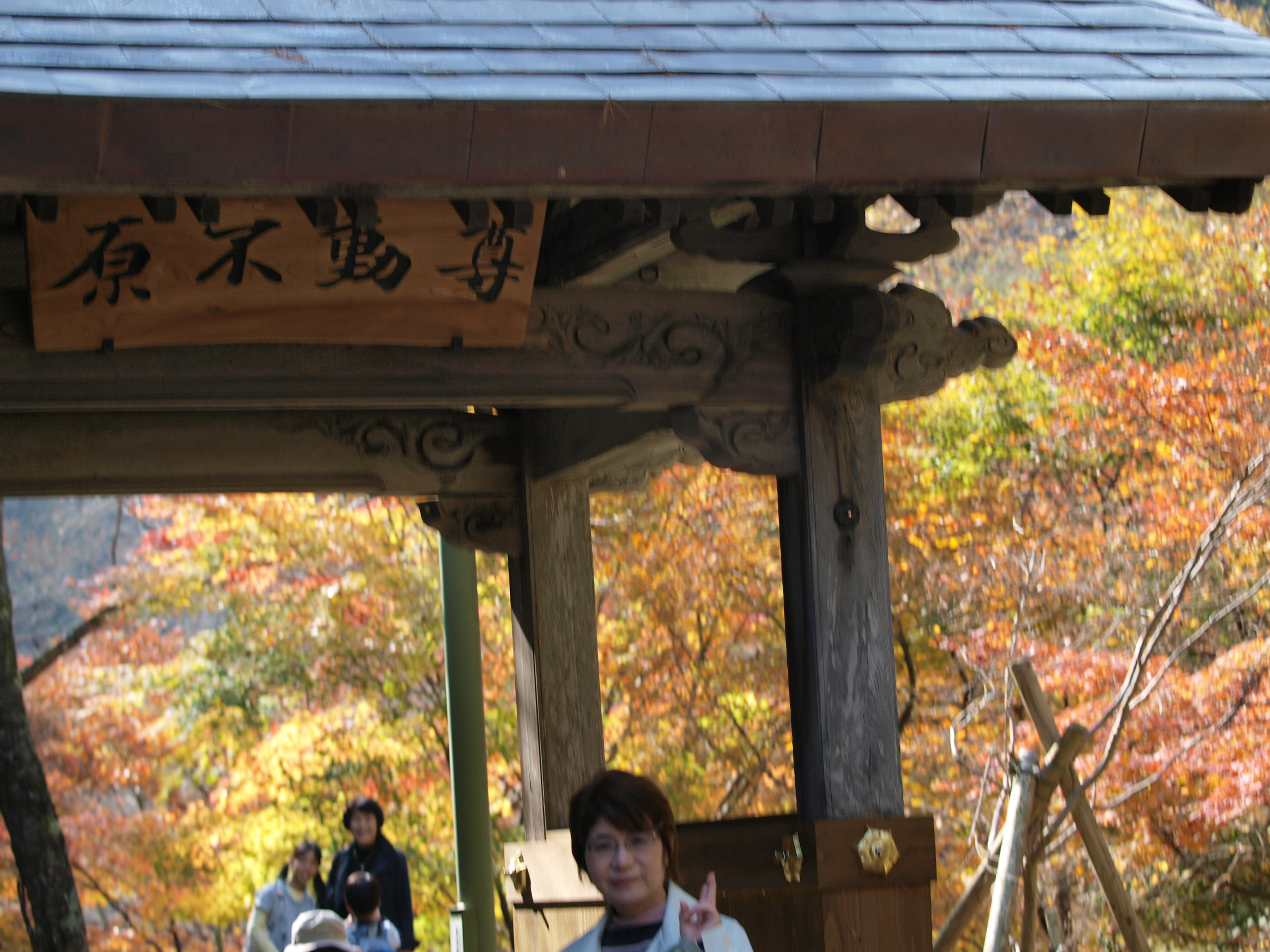 PB084924.JPG