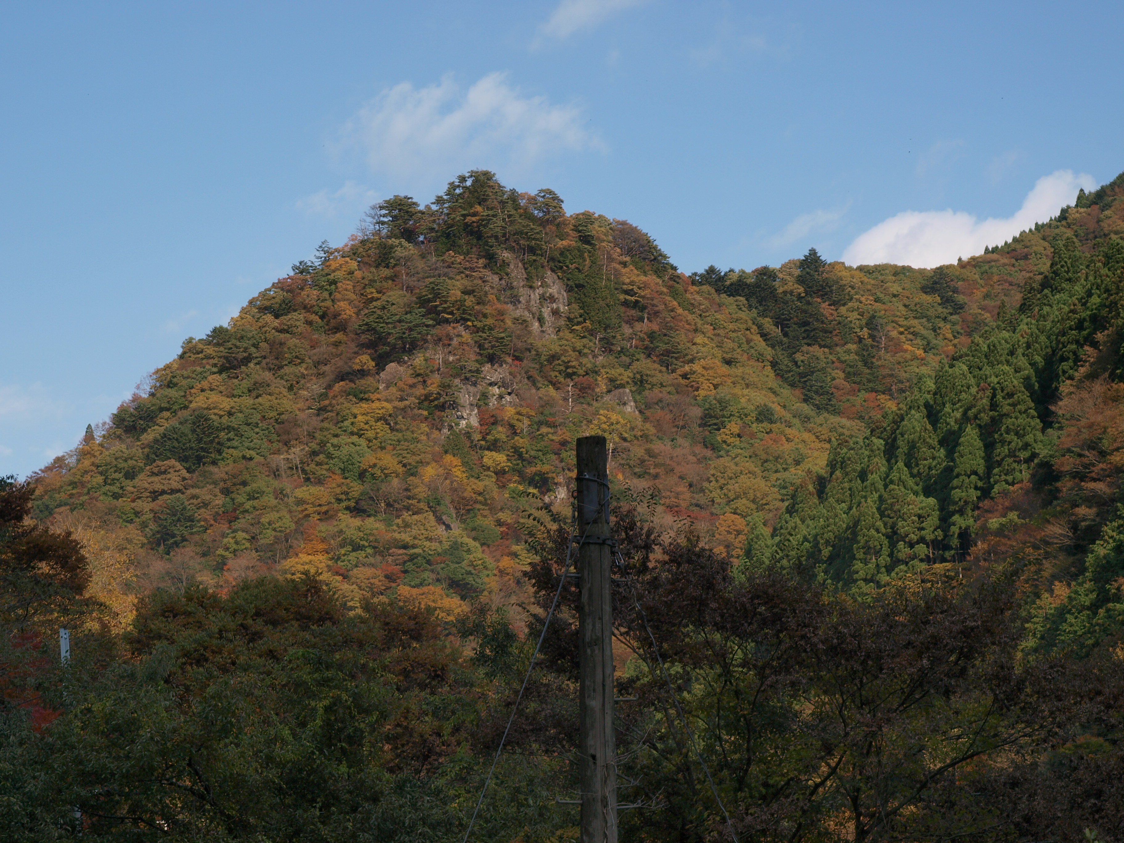 PB084927.JPG