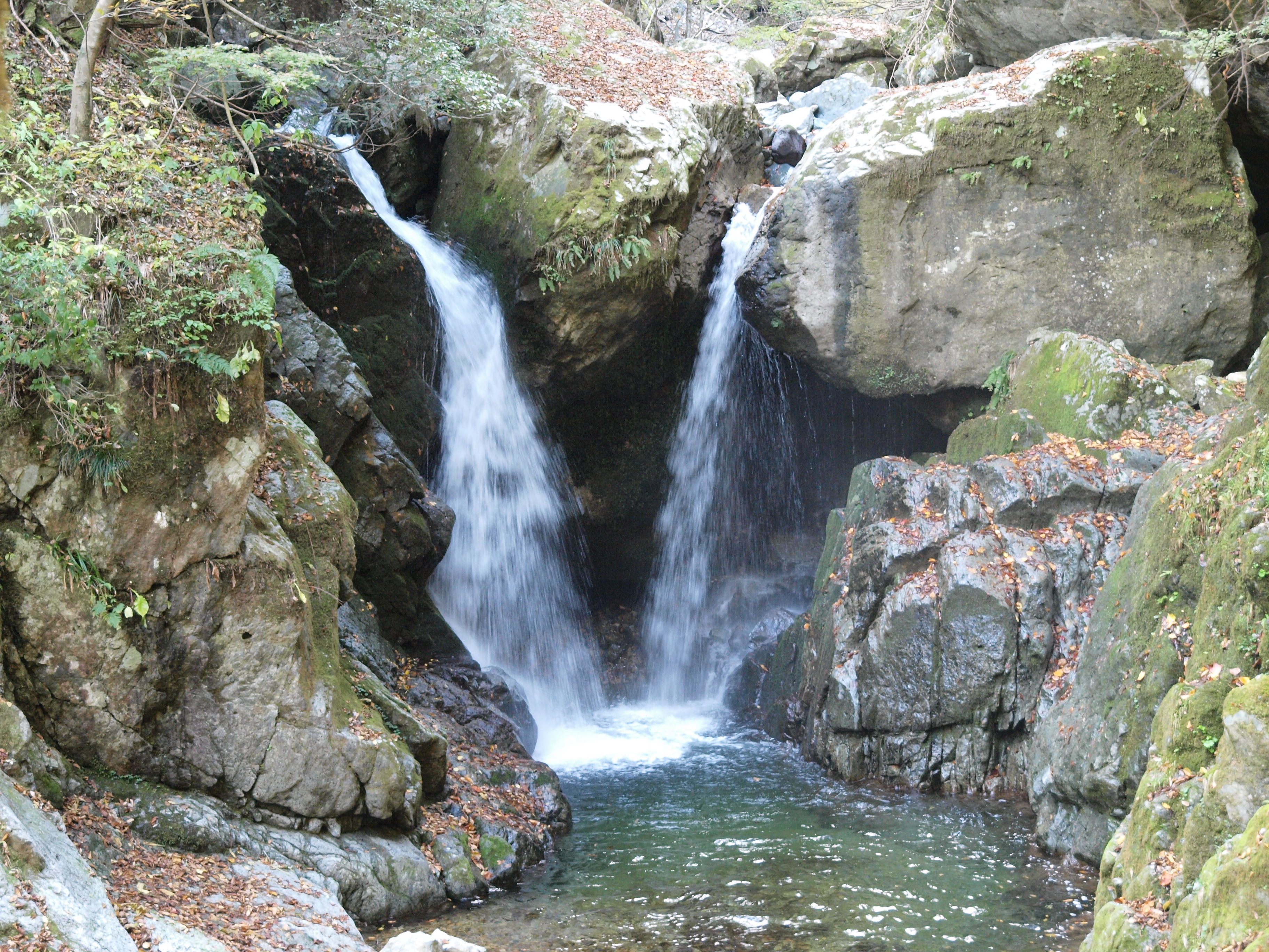 PB084934.JPG