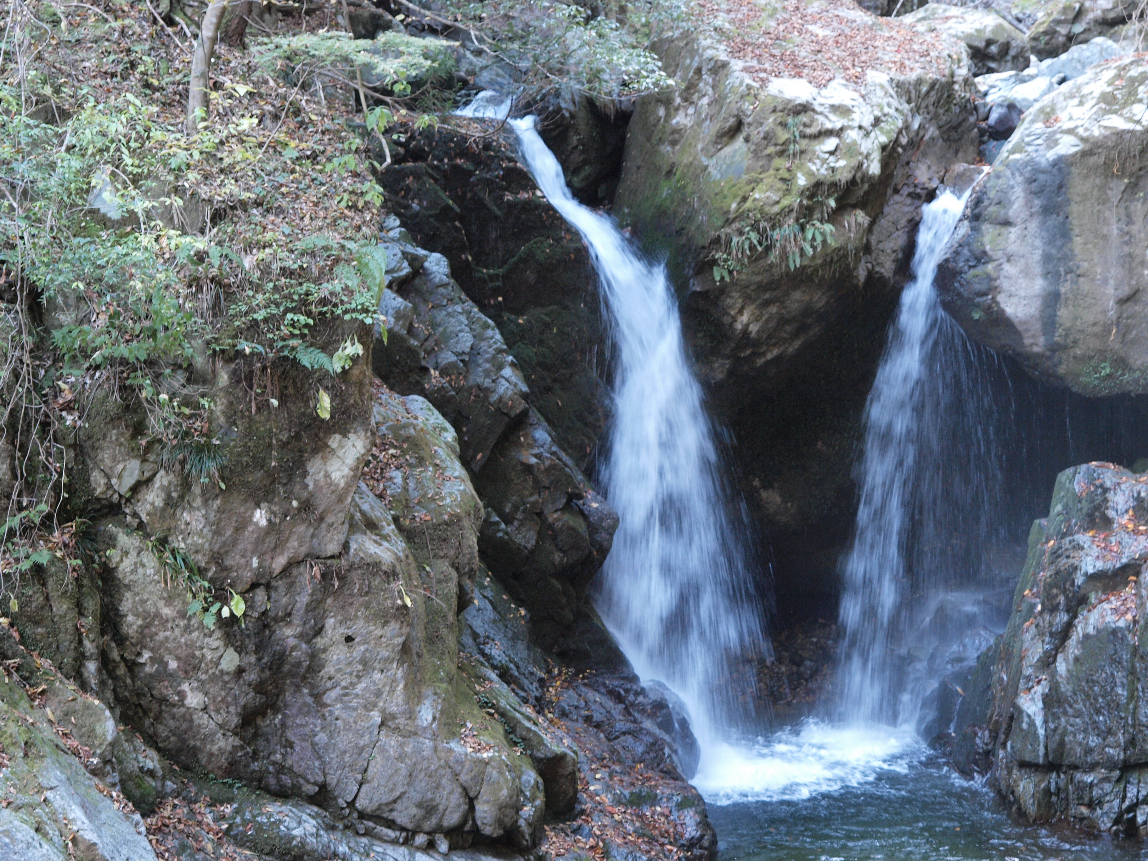 PB084937.JPG