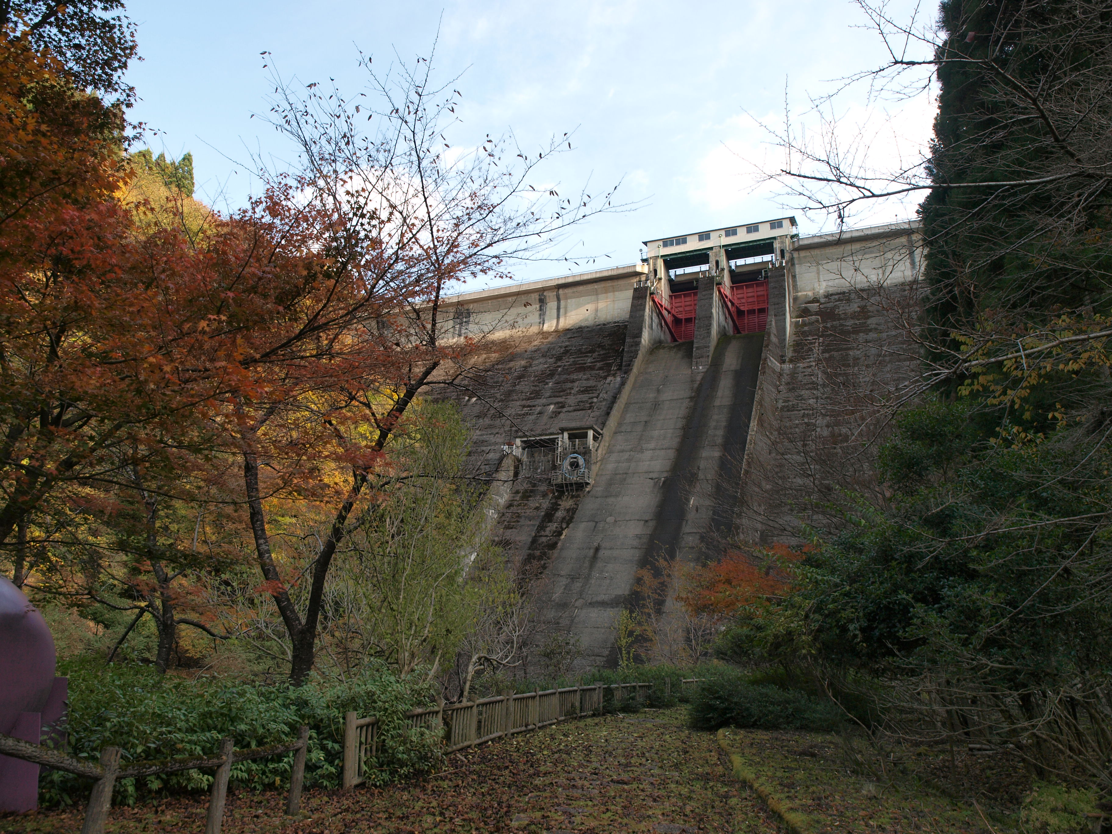 PB084939.JPG
