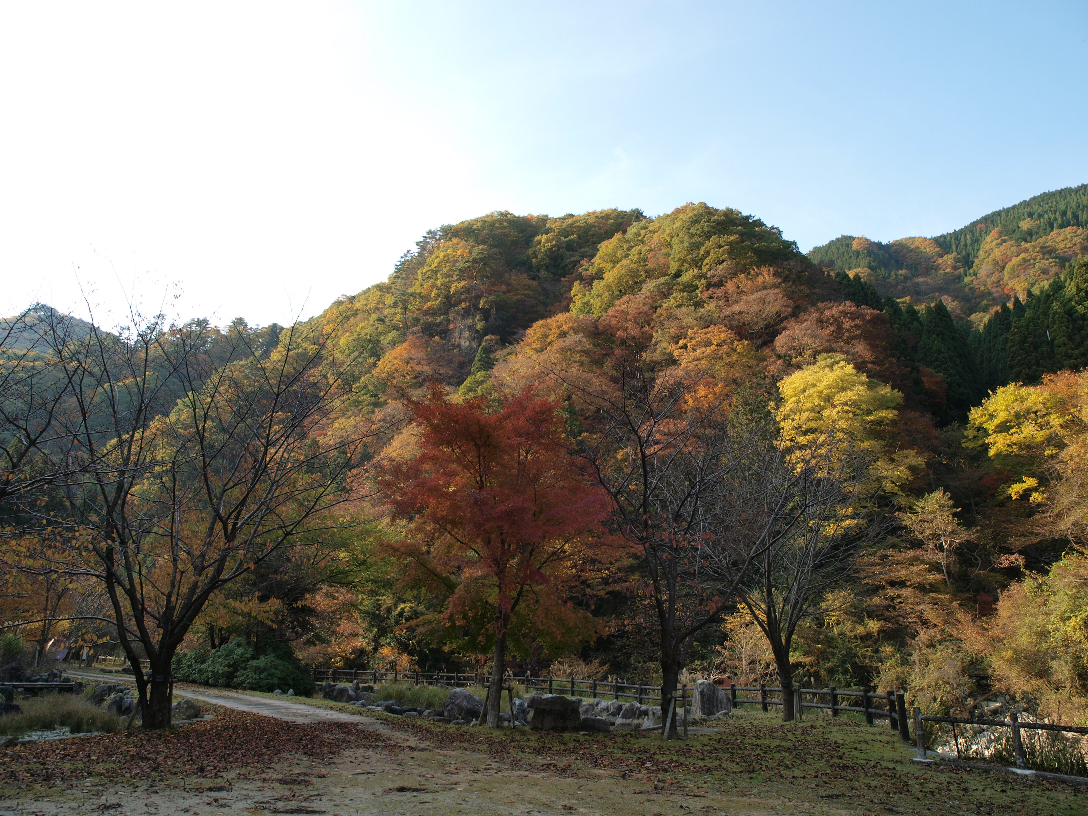 PB084941.JPG