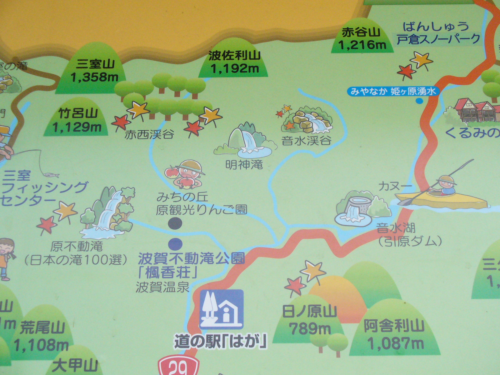 P1130374.JPG