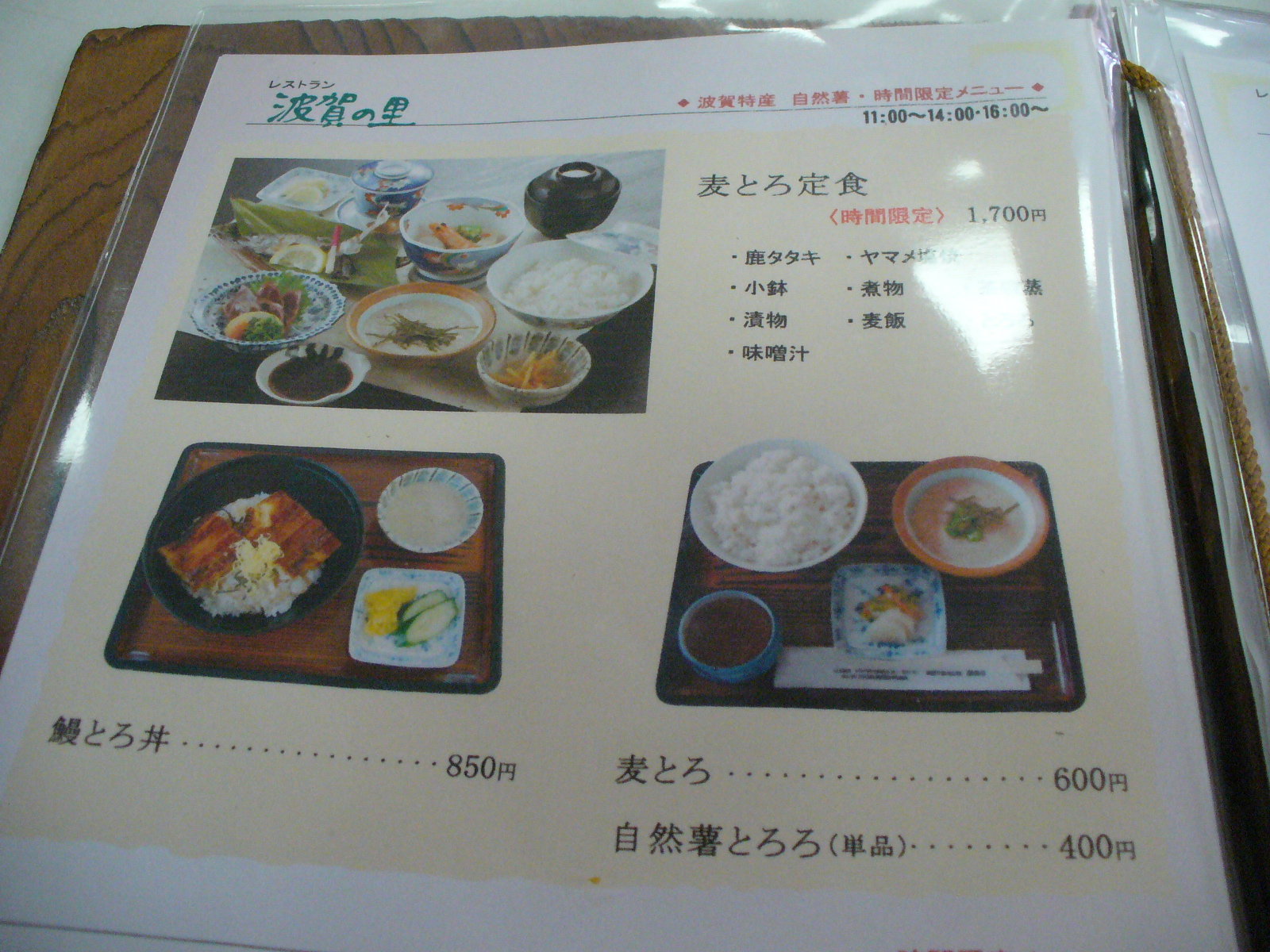 P1130376.JPG