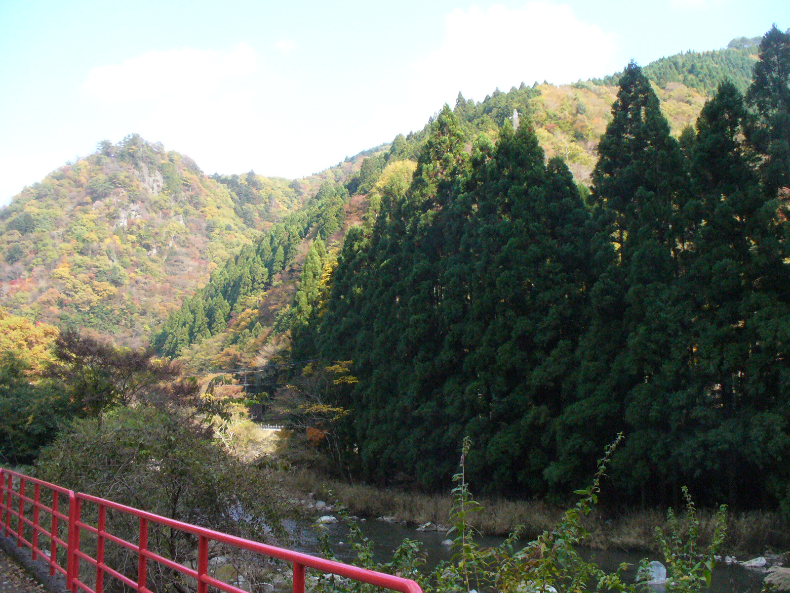 P1130387.JPG