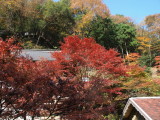 img0002.jpg