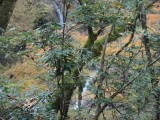 img0003.jpg