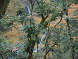 img0004.jpg