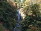 img0005.jpg